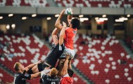 开云体育2026-橙衣风暴席卷沙漠，费利克斯天秀闪耀—2026世界杯D组荷兰3:0完胜加纳
